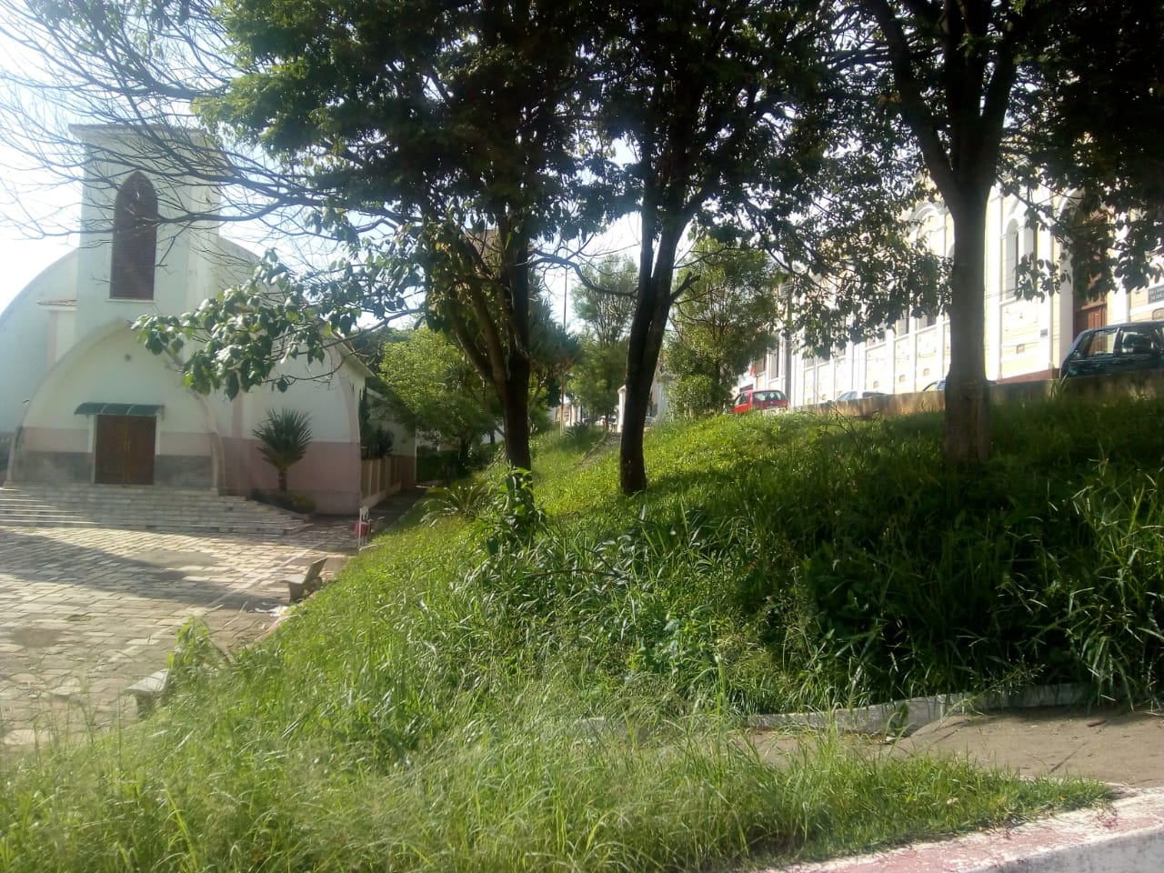 IMAGEM DO DIA: Praça Getúlio Vargas precisa ter prioridade na carpina e limpeza
