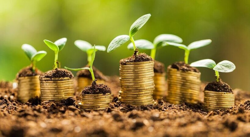 Crédito de carbono podem gerar R$ 500 bilhões ao Brasil até 2030