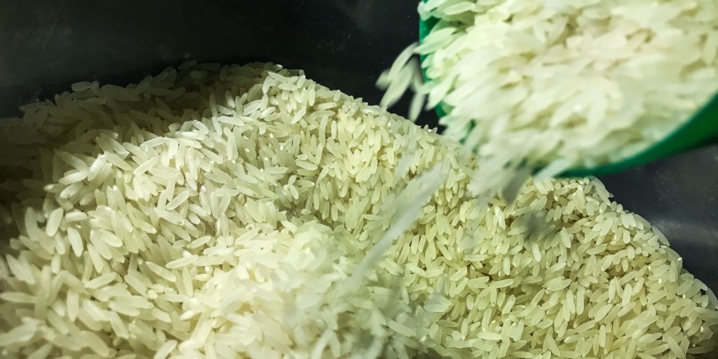 Federarroz: país não tem como produzir e vender quilo do cereal a R$ 4
