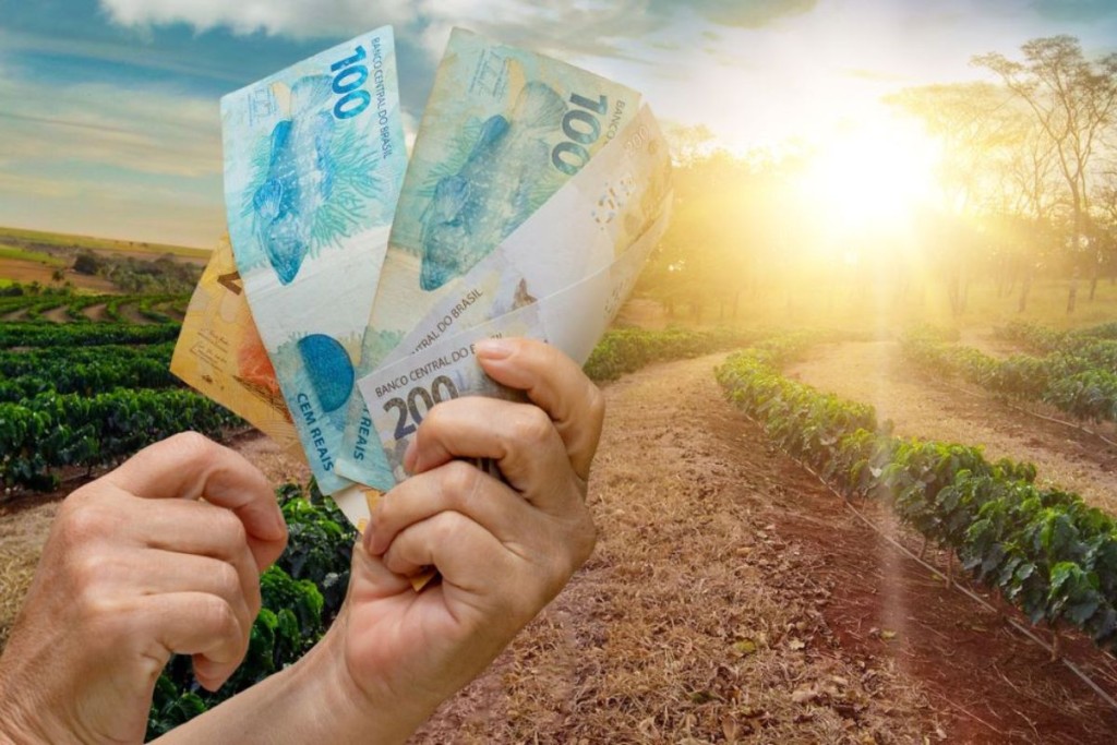 Produtores mato-grossenses já utilizaram R$ 47 bilhões do Plano Safra