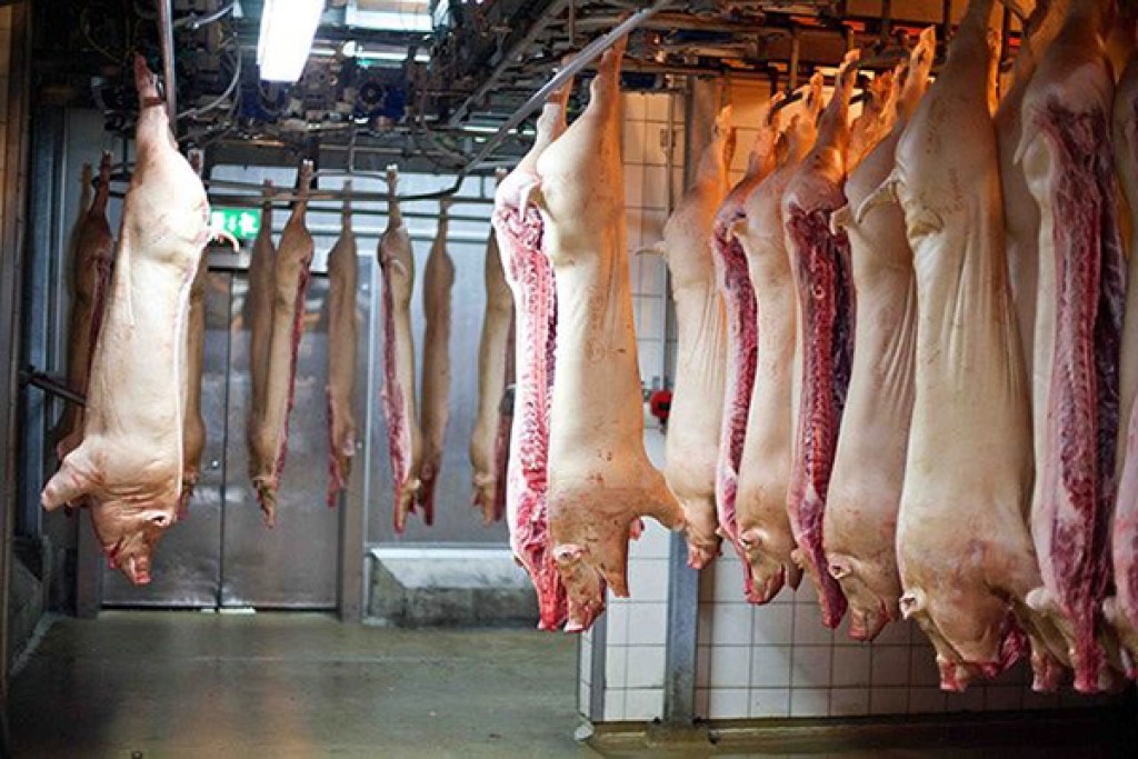 Exportações de carne suína bateram recorde histórico: 1,2 milhão de toneladas