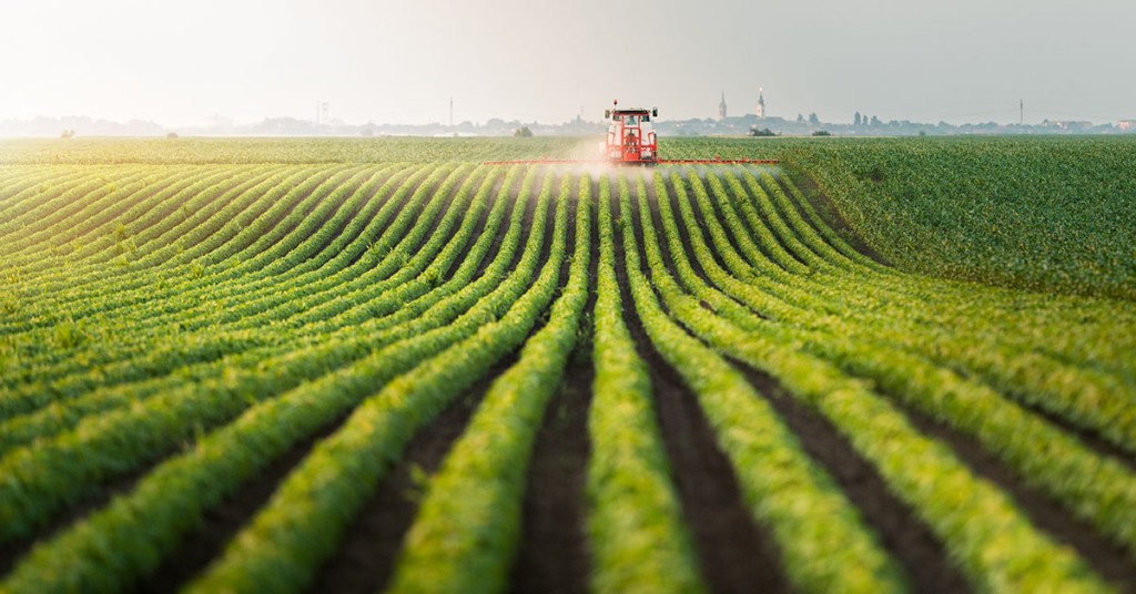 Minas Gerais e Mato Grosso unem forças para impulsionar o agronegócio brasileiro