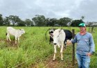 Agro + Verde recupera 3.300 hectares no oeste de Minas Gerais