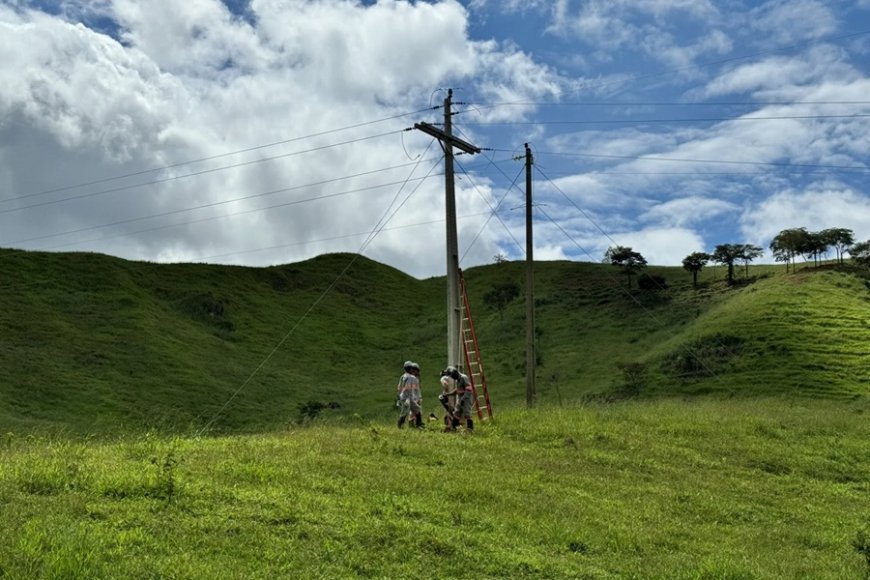 Eletrificação rural recebe investimentos