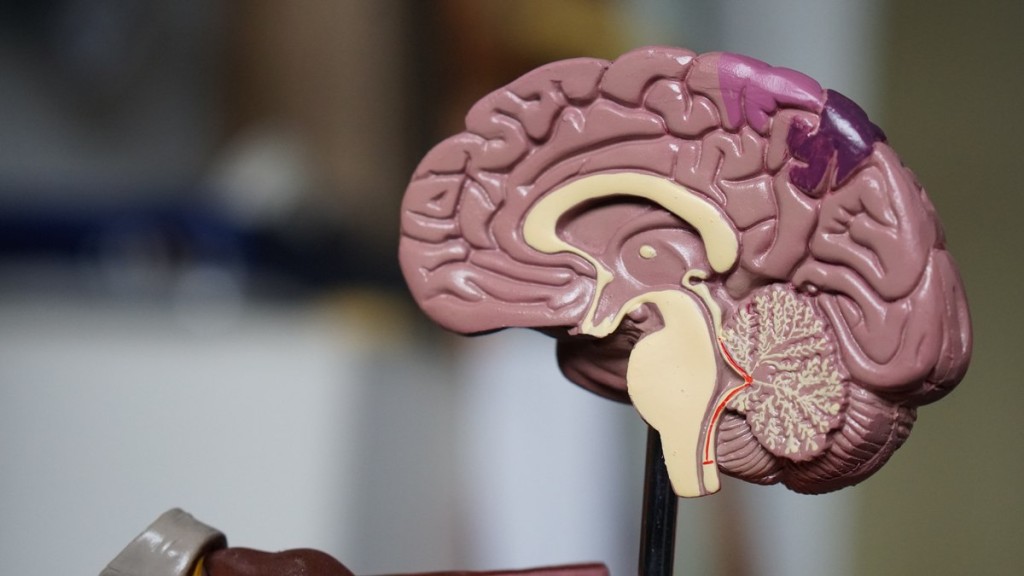 Alzheimer: brasileiros criam plataforma que ajuda a preservar memória