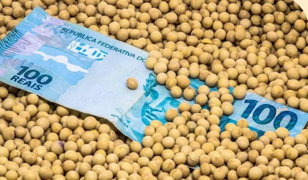 Preços da soja em alta: mercado brasileiro sustenta crescimento mesmo com produtividade ameaçada