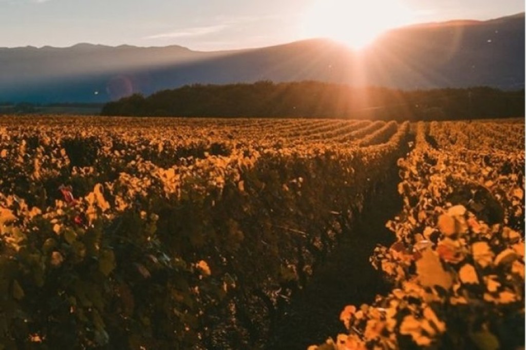 Melhor tinto do Brasil é da Serra da Canastra