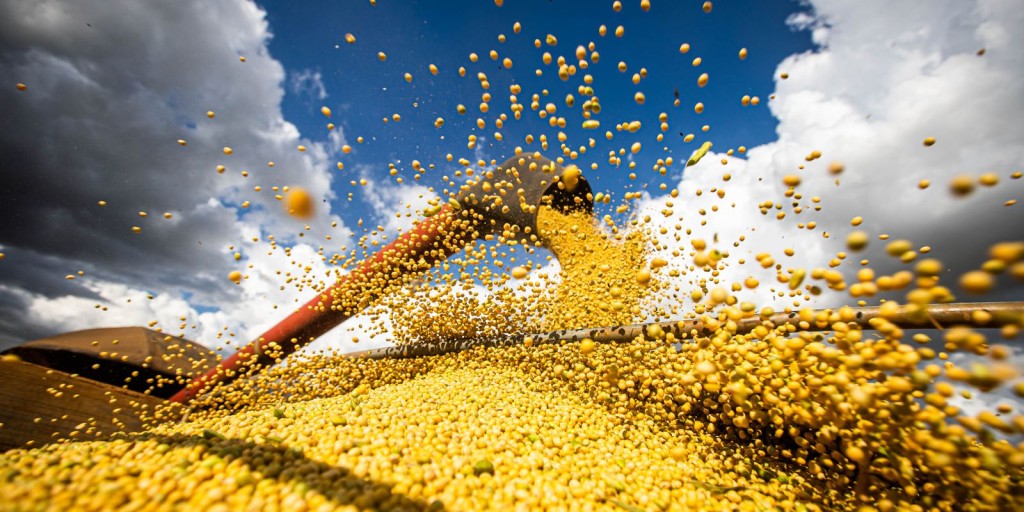 Relatório denuncia relação entre mercado e grilagem no Cerrado