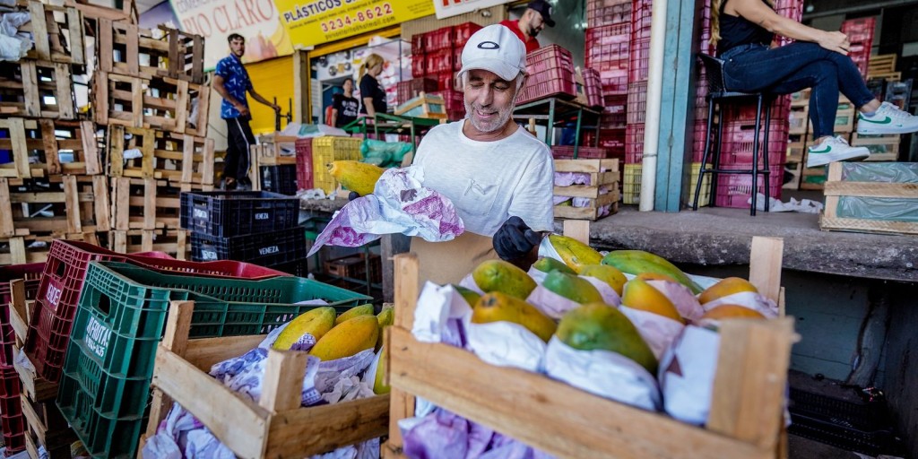 Conab registra queda de preços de frutas e hortaliças em dezembro