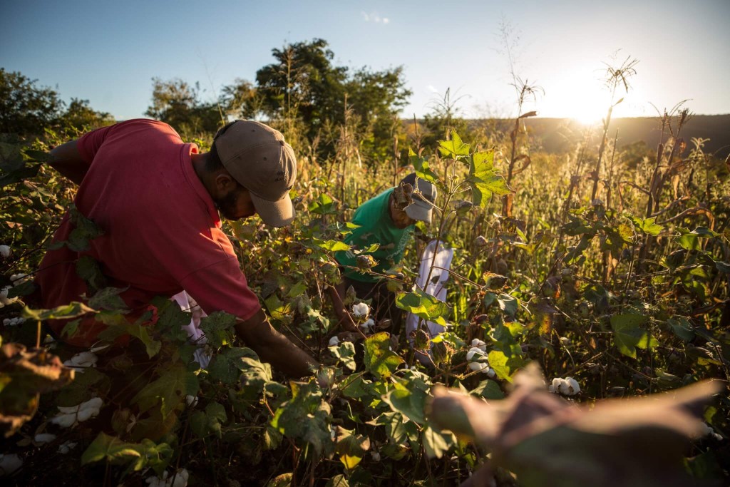 BNDES: projeto que destina R$ 1 bi para beneficiar 250 mil agricultores do nordeste será lançado nesta terça