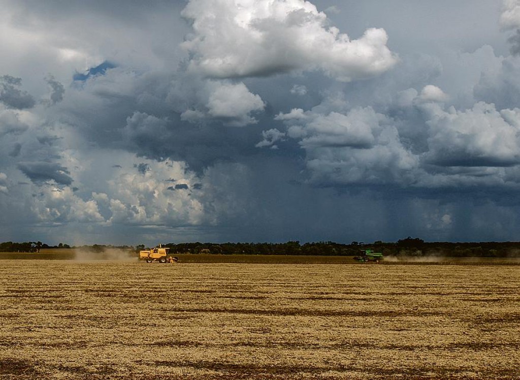 Clima ajuda e plantio da safra avança pelo país