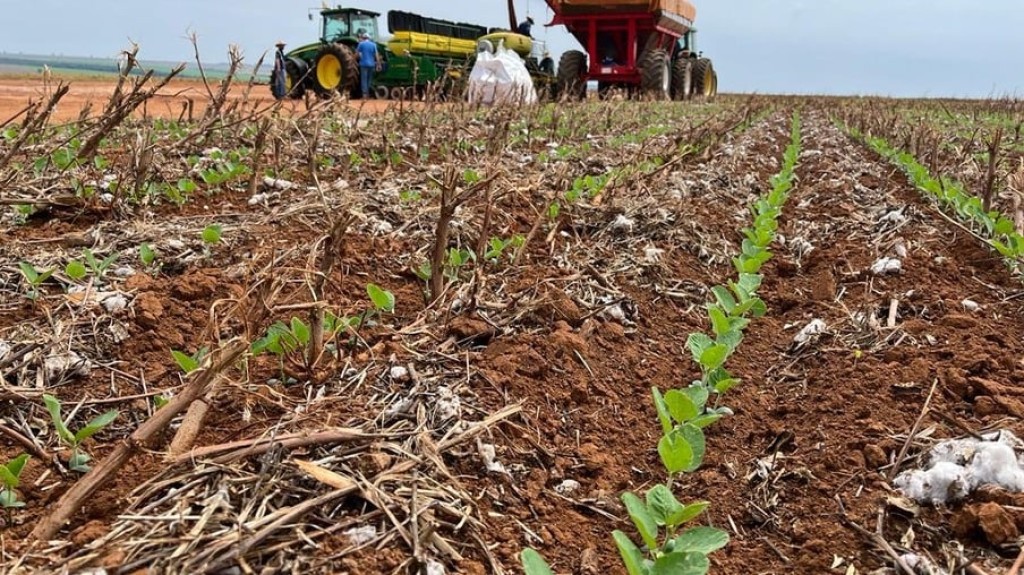 Mapa autoriza Mato Grosso plantar soja até final de janeiro
