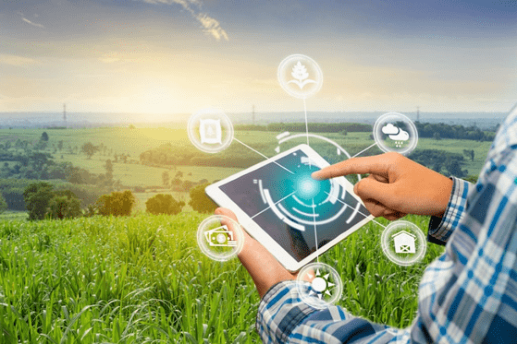 Levantamento mostra que acesso precário à internet limita o potencial do campo
