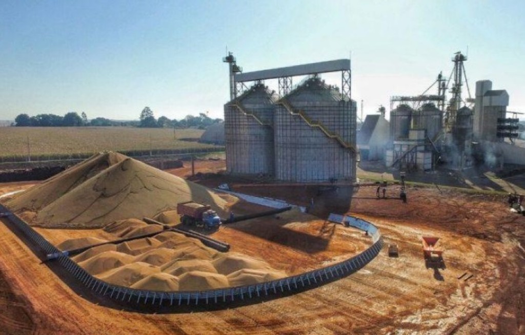 Investimentos nos últimos 40 anos fez safra brasileira crescer 600%