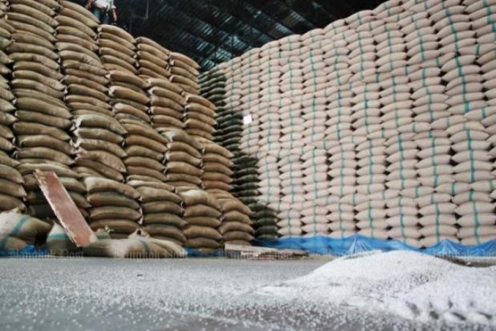arroz: Brasil encerra temporada com 92 mil toneladas de saldo positivo