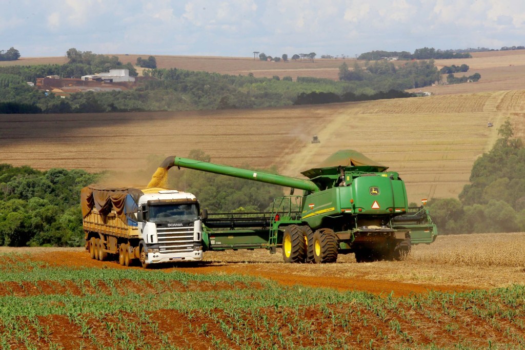 Paraná reduz estimativas da safra de soja e milho 2023/24