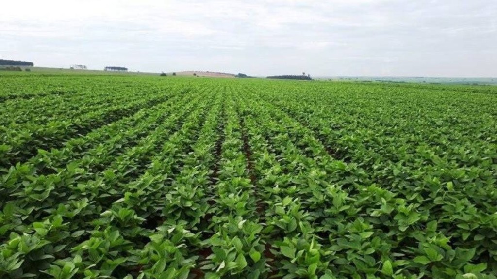 Com recorde no agronegócio, PIB cresce acima do esperado pelo mercado