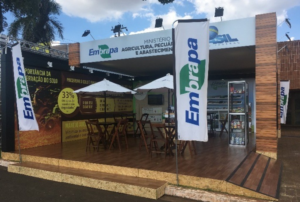Embrapa desenvolve semente de soja resistente à seca