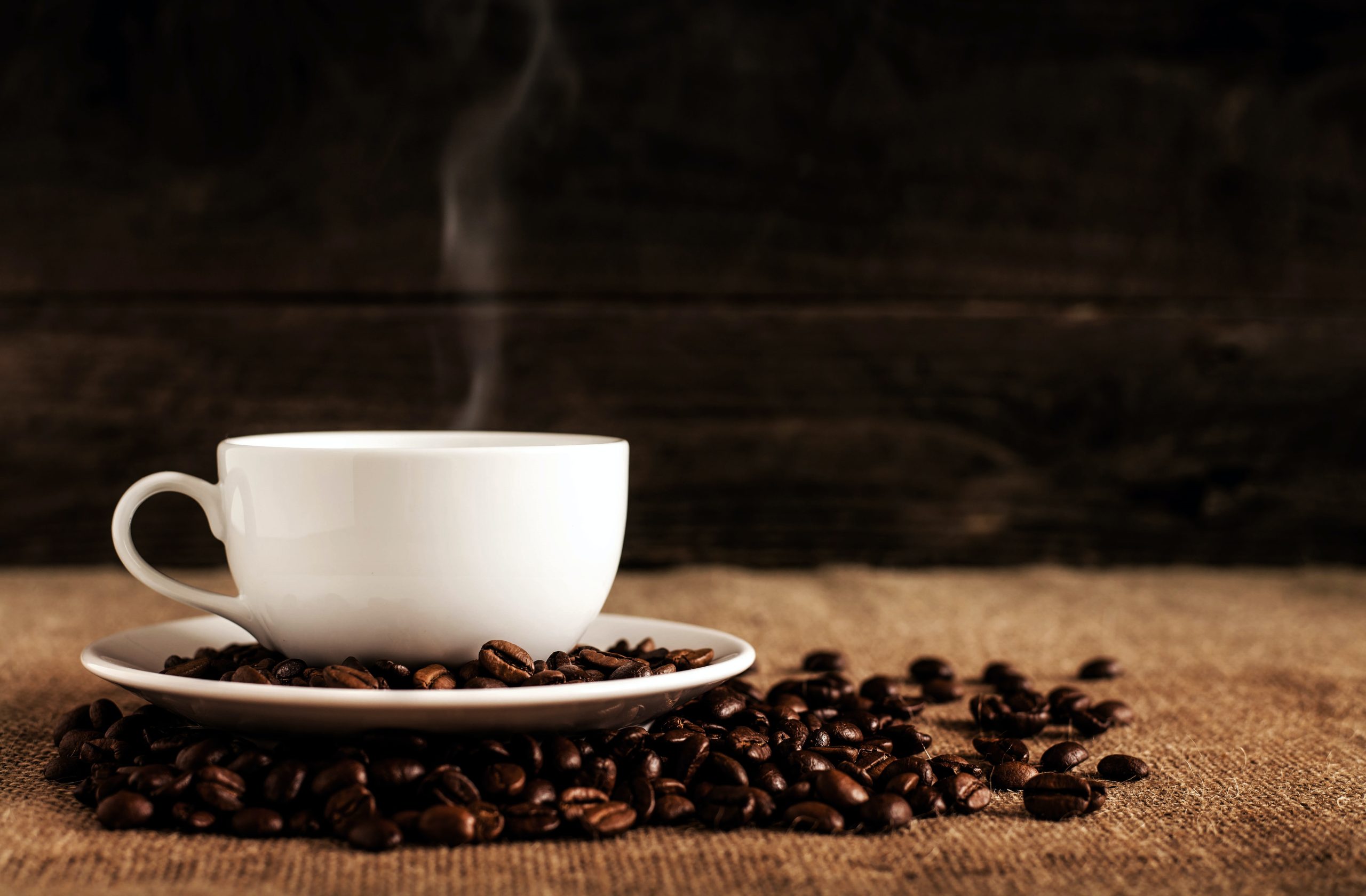 AGRO - Emater destaca a importância do marketing na comercialização do café