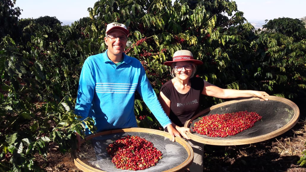 AGRO - Pequenos cafeicultores de Poço Fundo comemoram exportação para Europa