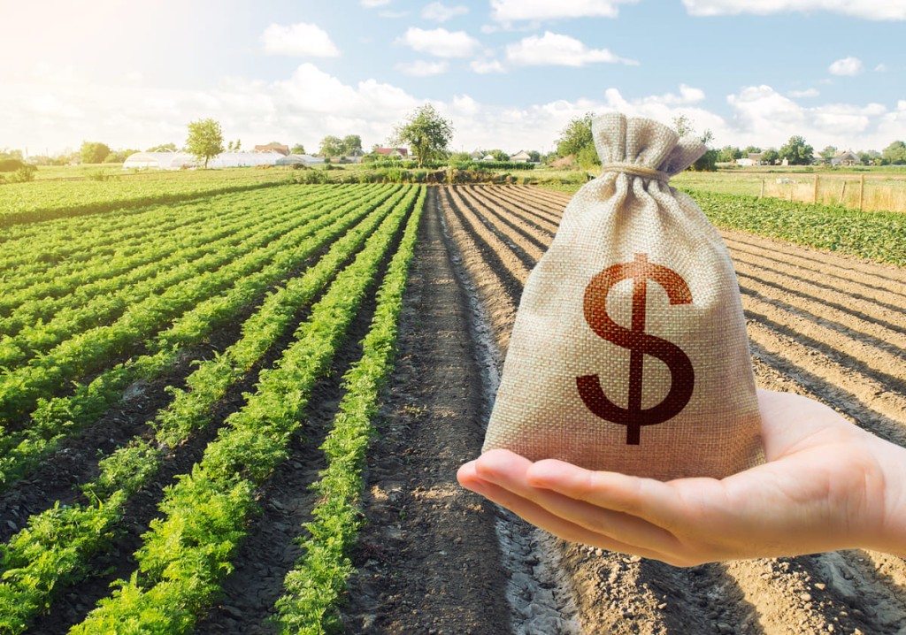 Plano Safra 2023/24 já liberou R$ 147 bilhões para custeio do agronegócio