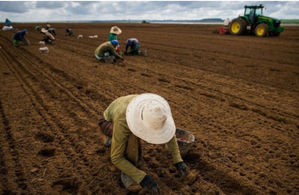 Tocantins abre vagas para trabalhadores rurais