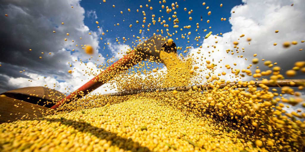 Produção de grãos chegará a 390 milhões de toneladas em 10 anos