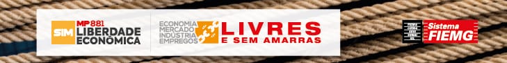 FEDERAÇÃO DAS INDÚSTRIAS DO ESTADO DE MINAS GERAIS