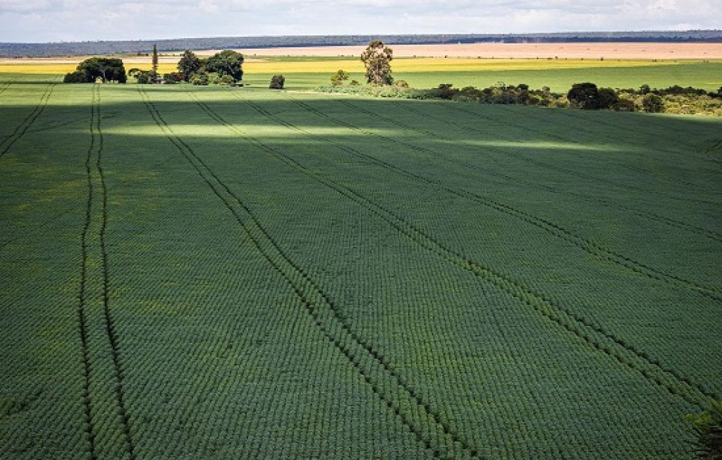 Agronegócio enfrenta o desafio de ampliar a produção e as perspectivas de futuro da população