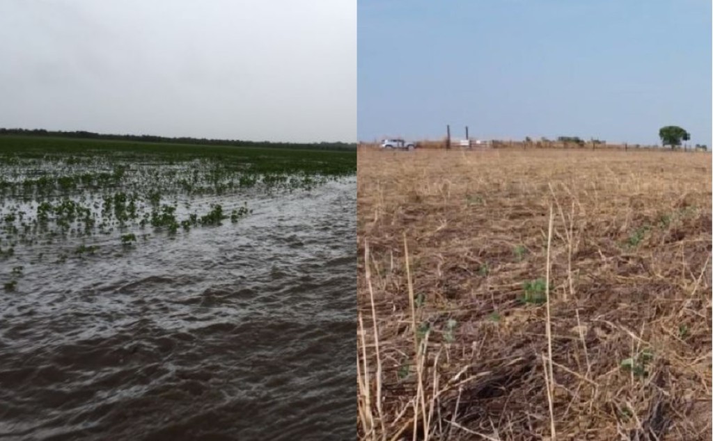 Problemas climáticos: Mapa pede R$ 3,5 bilhões para o seguro rural em 2024