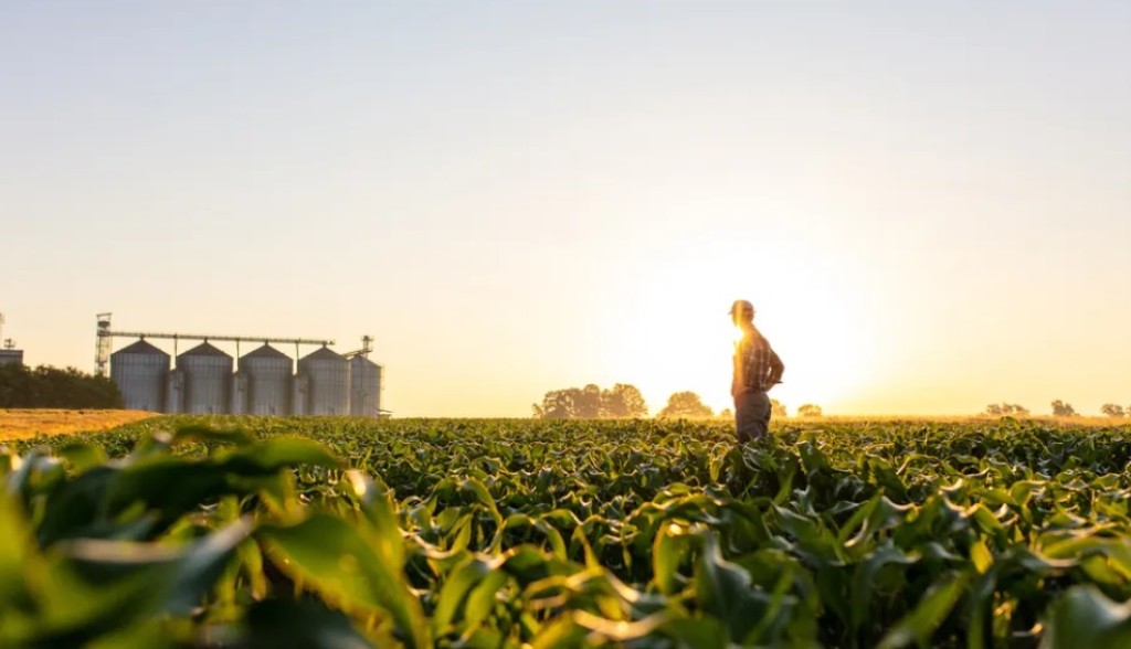 PIB do agro cresceu 18%, melhor resultado em 28 anos, diz CNA