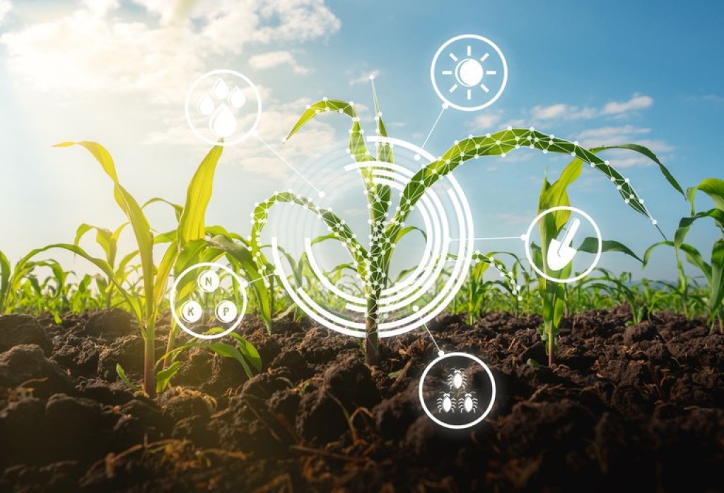 Mapa cria Plataforma Digital de Inovação Agropecuária