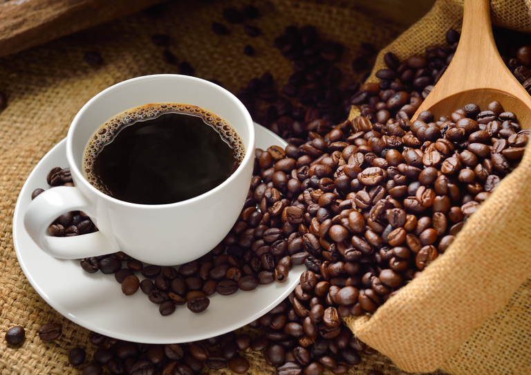 AGRO - Governo Federal reajusta preços mínimos da laranja e do café