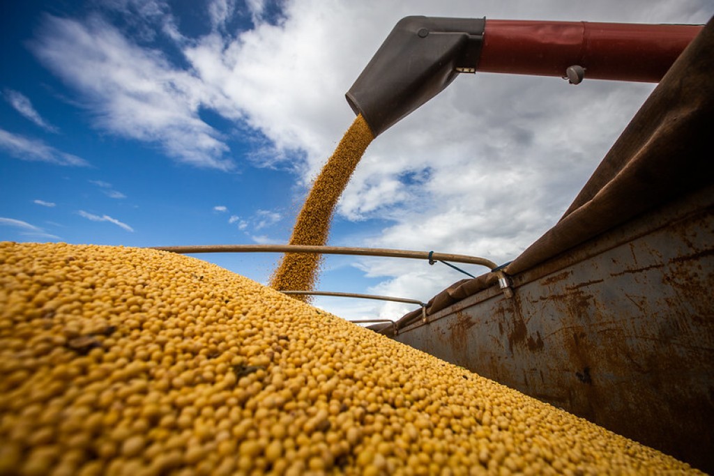 Desafios climáticos e geopolíticos devem afetar o mercado da soja dentro e fora do Brasil em 2024