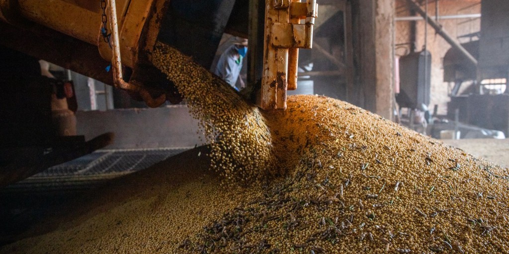 Ipea revisa crescimento do PIB agro para 2023 de 11,6% para 13,2%