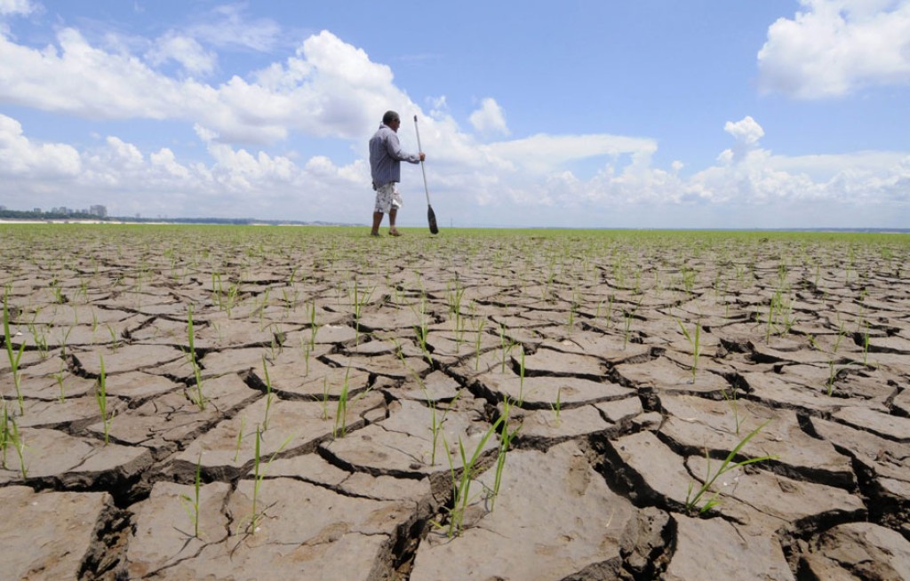 Entenda o que é o mercado de carbono. Brasil pode alcançar US$ 50 bilhões até 2030