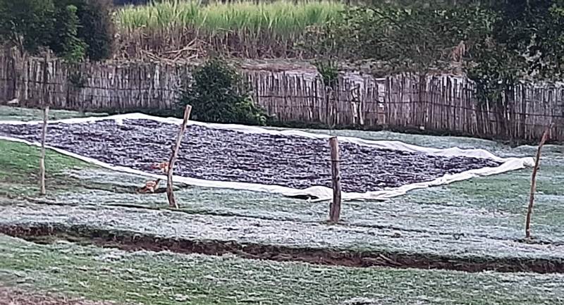 TEMPERATURAS DESPENCAM E HÁ FORMAÇÃO DE GEADAS EM MACHADO