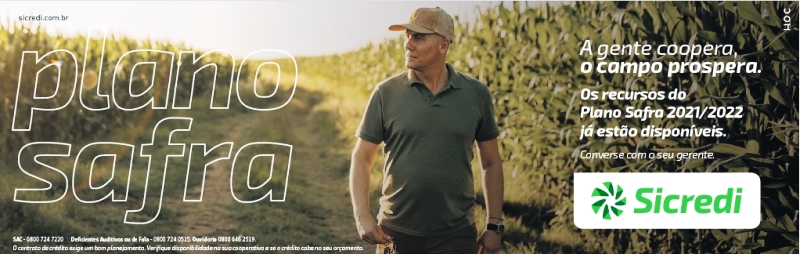 AGRONEGÓCIO: SICREDI DISPONIBILIZA CRÉDITO PARA O PLANO SAFRA